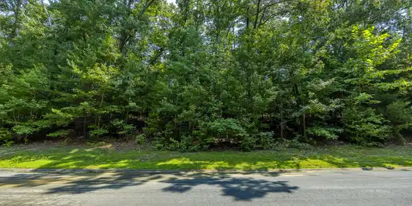 Lot 8 Cove Springs Drive