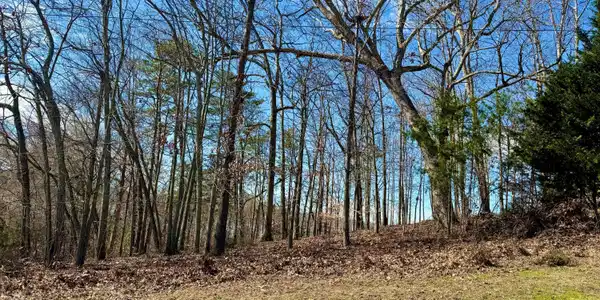 Lot 37 Lake Vista Drive