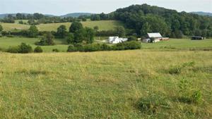 Oak Grove lane