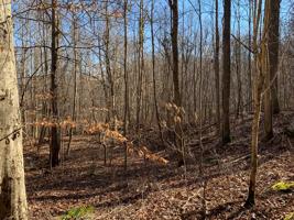 Lot 521 Whistle Valley Road