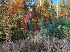 Lot 27 Bridgewater Blvd
