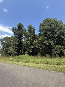 39 Idlewild Dr