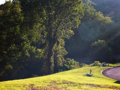 6300 Coves Edge Trail