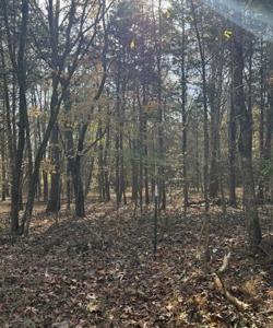 Lot 1031 Meadow Court