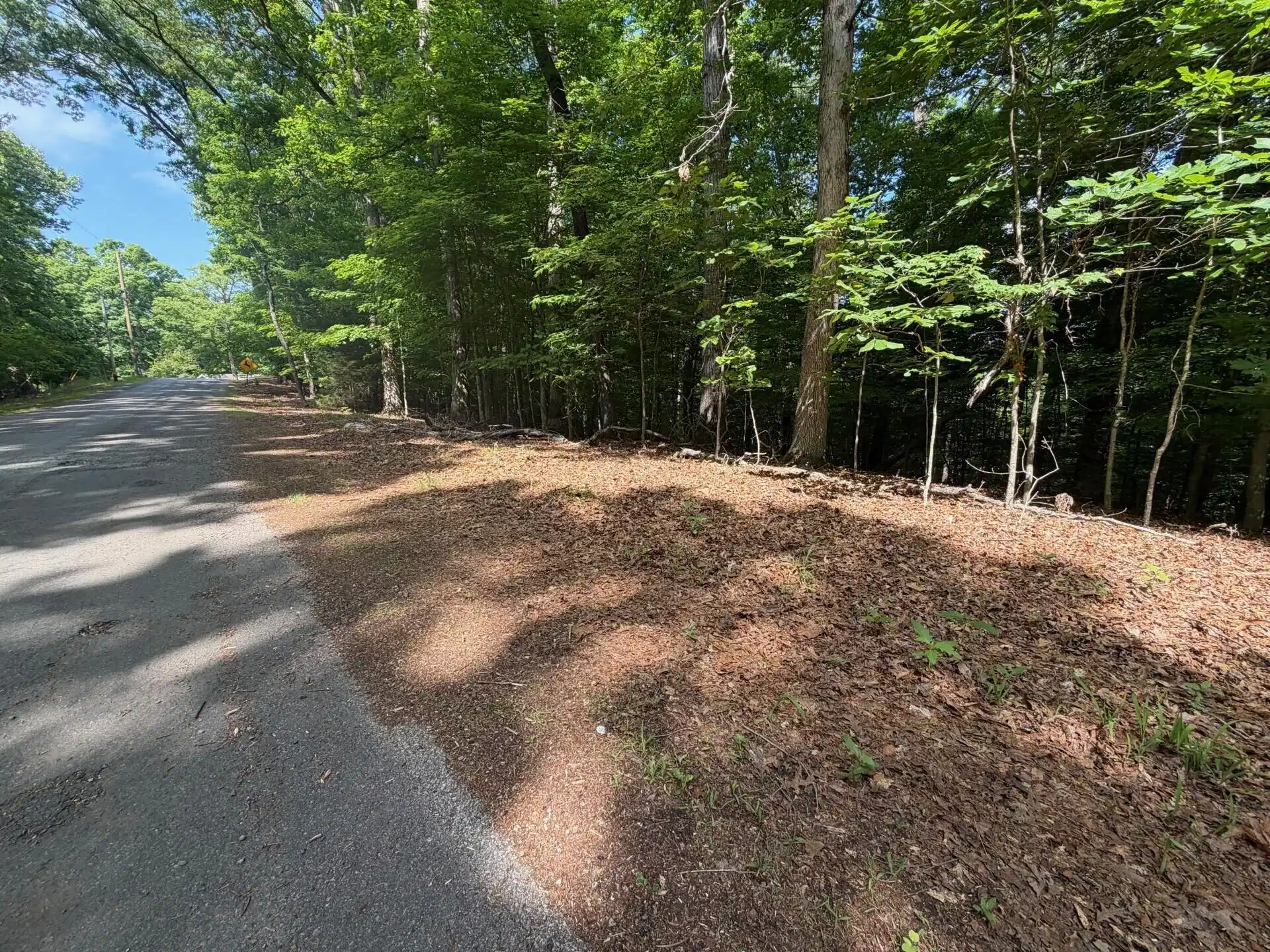 Image 1: lot2-2