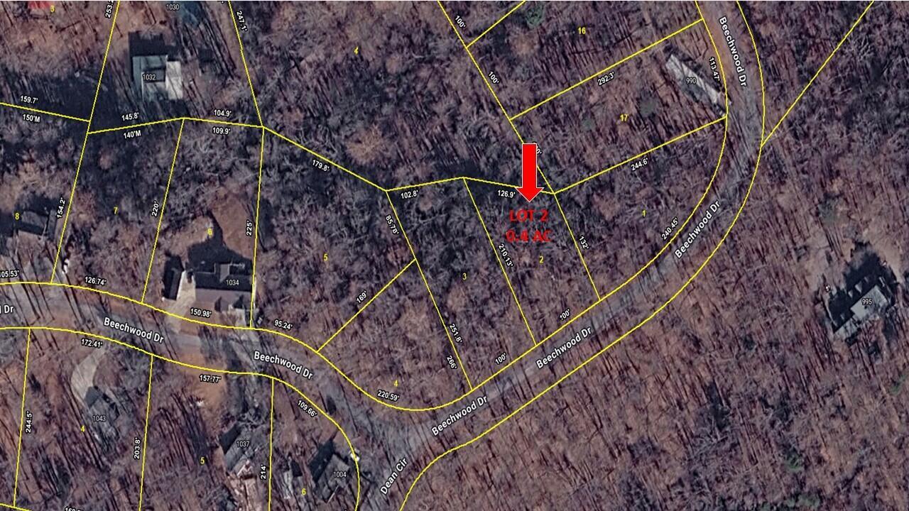 Image 2: Beechwood LOT 2