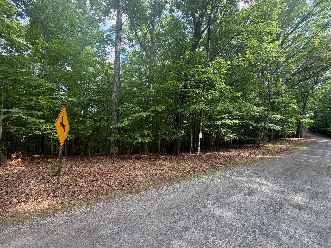 Image 1: lot3