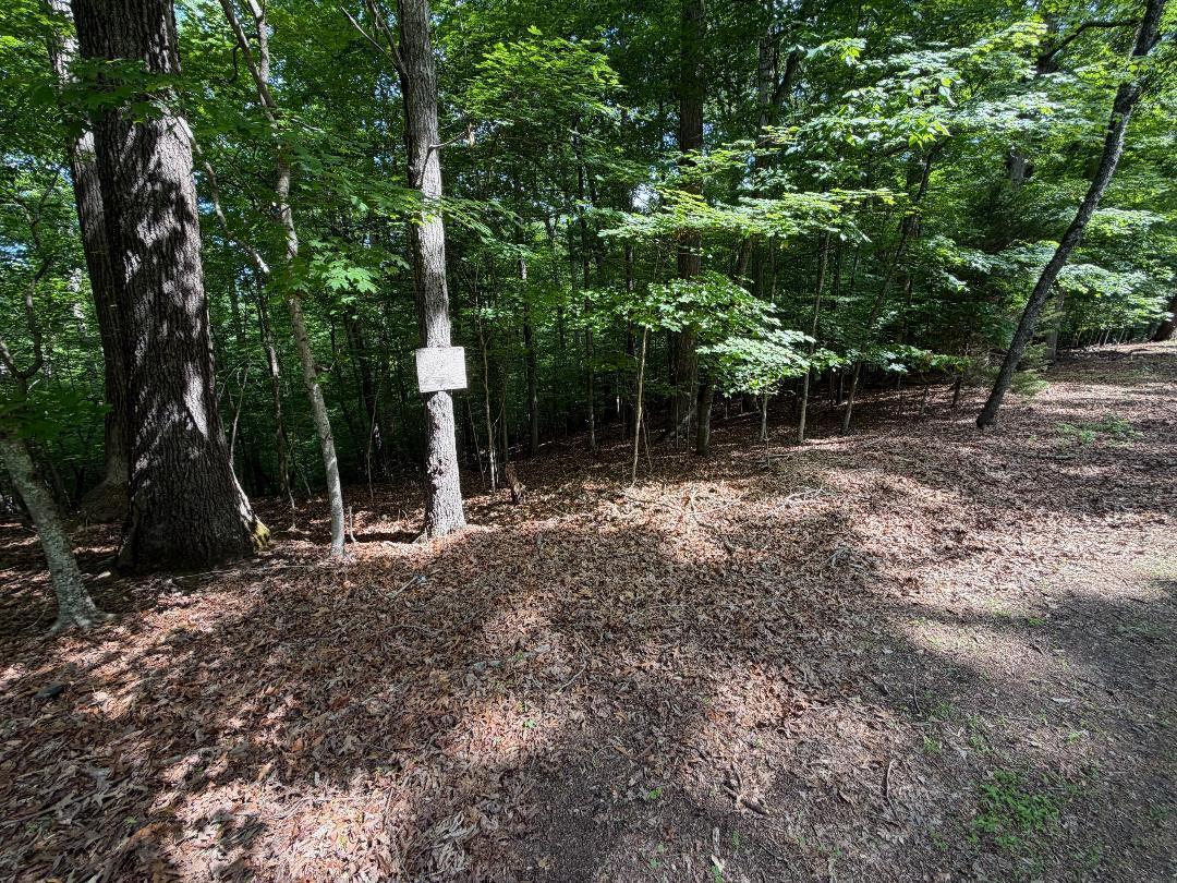 Image 3: lot 3 -2