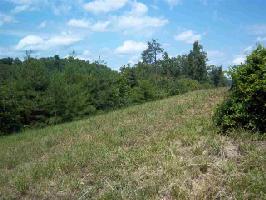 6250 Outlook Trail