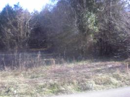 Address Withheld