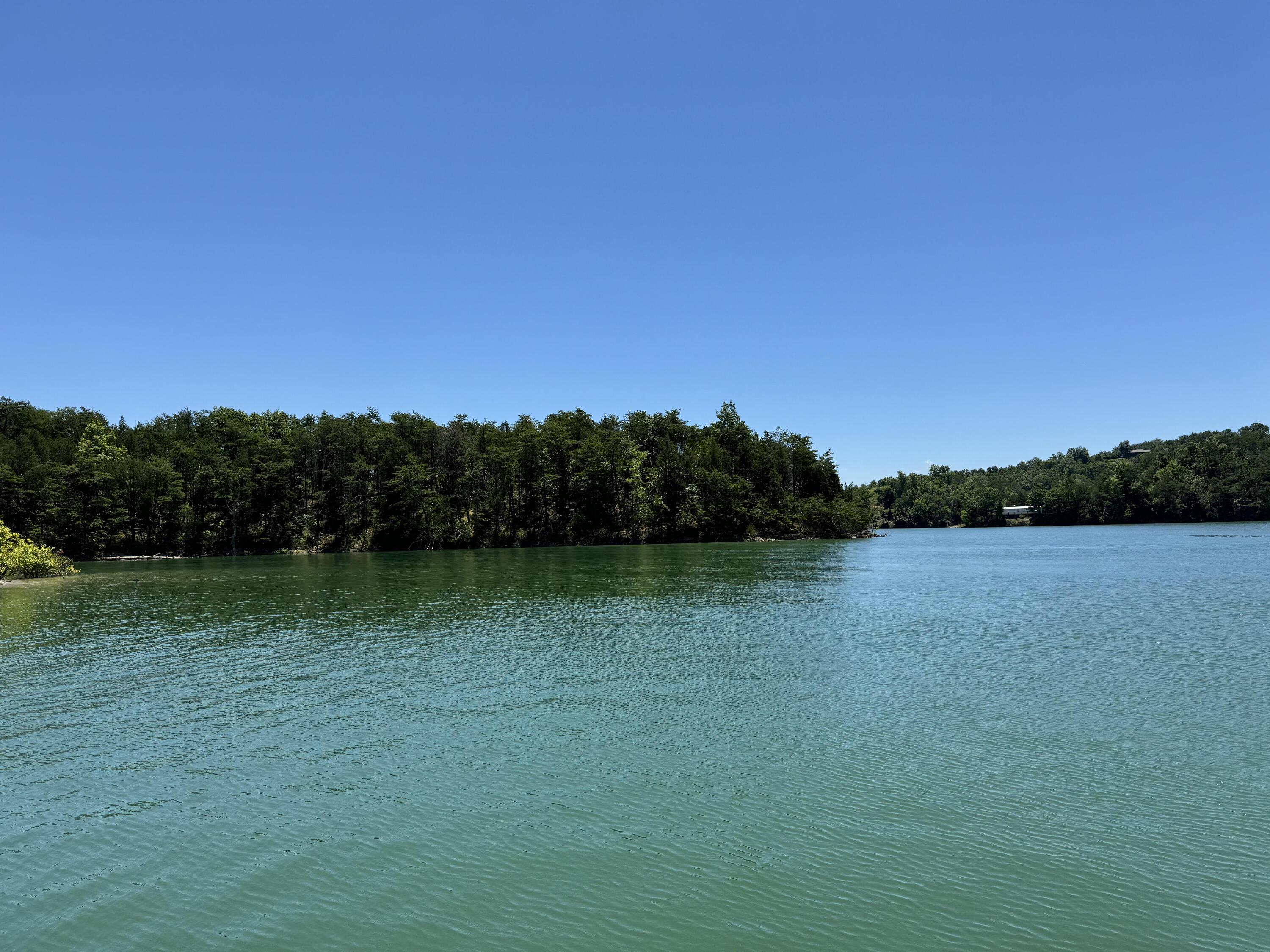 Image 2: unnamed (7)
