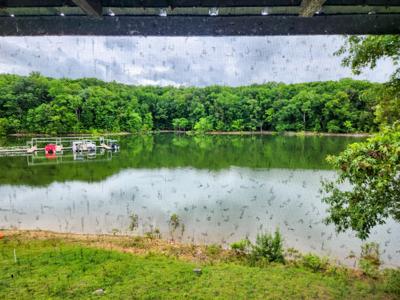 1560 Cardnal Cove Cove