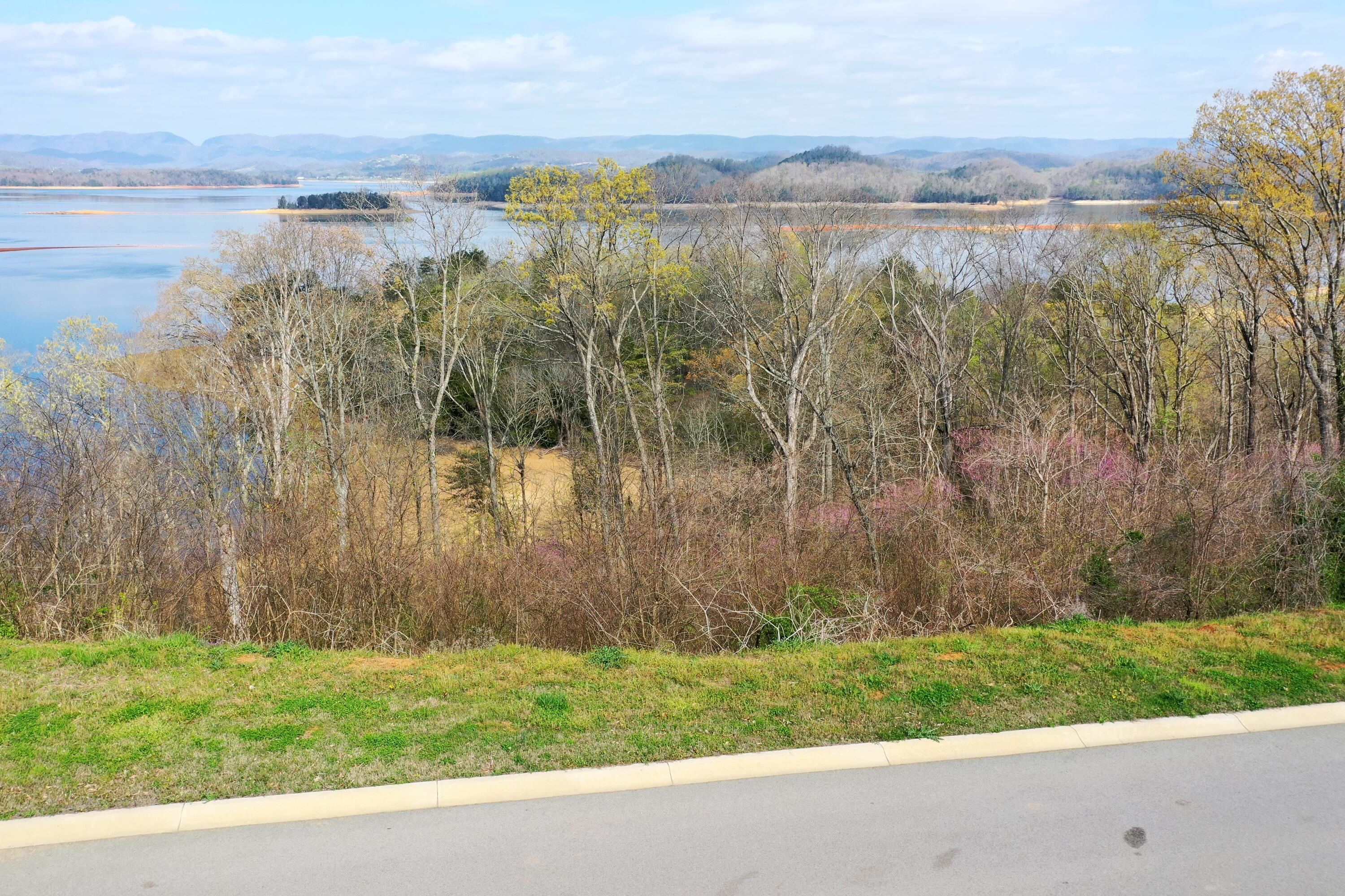 Image 3: DJI_0848