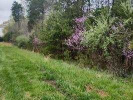 Lot 21 Lakewood Forest Road