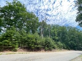 Lot 161 Talon Ridge Ct