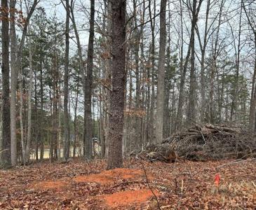 Lot 50 Bent Tree Rd