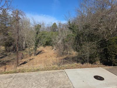 B 807 Old Forest