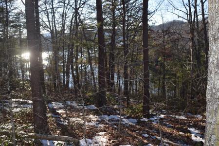 Lot 5 Trellis Ridge Drive