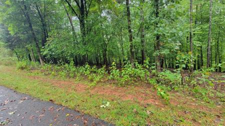 Lot 25 Gap Bridge