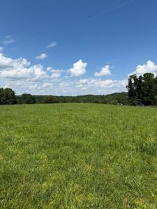 Lot 2 Little Creek Rd