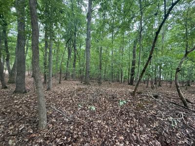 Lot 18 Saunders Point