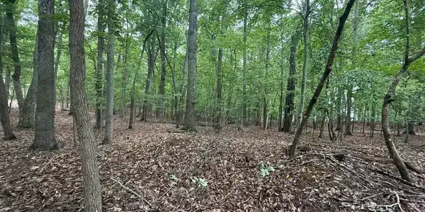 Lot 18 Saunders Point