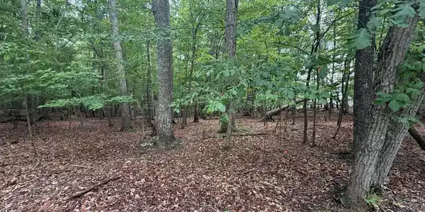 Lot 17 Saunders Point