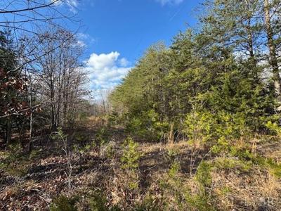 Lot 1 Tolers Ferry