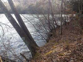 1000 Chaney Ridge