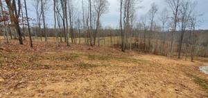 Lot 11 Falls Creek Way