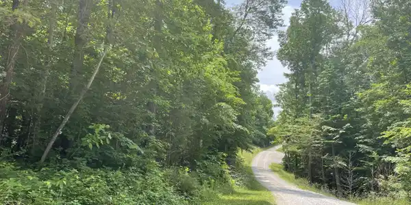 34-35-36 Shepperd Road