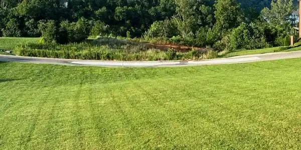 44 Shimmering Moon Drive
