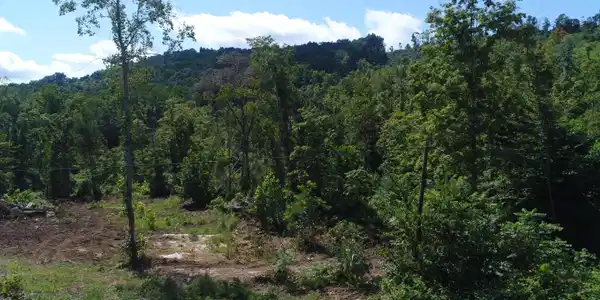 1175 Bend of The Lakes Road