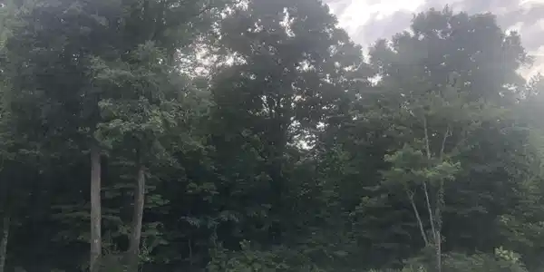 Lot #3 Denney Ridge Road