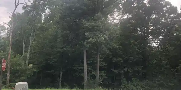 Lot #3 Cumberland Shores Road