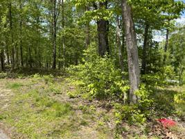 355 woodland Drive