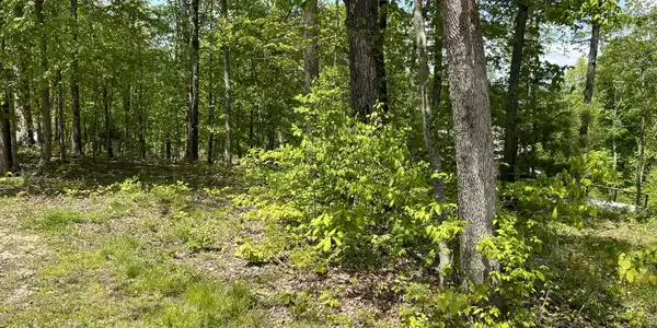 355 woodland Drive