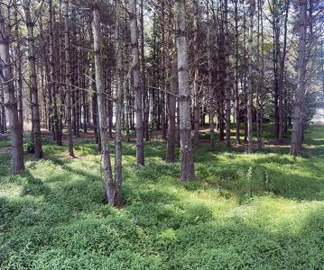 Lot 75 Edgewater