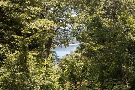 Lot 55 Cumberland Shores