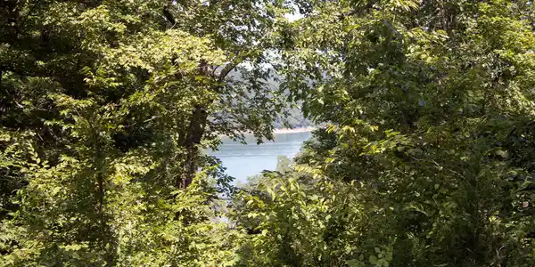 Lot 55 Cumberland Shores
