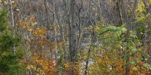 Lot 12 Twin Creeks