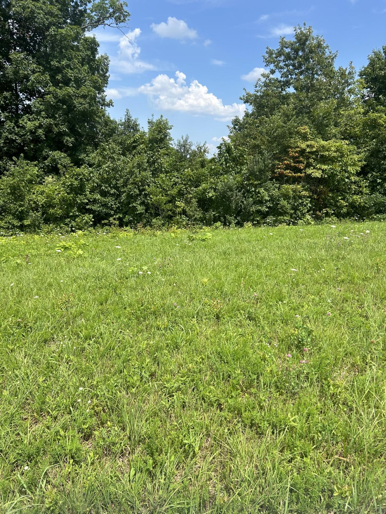 Image 3: DE32CFF7-B321-4391-91B4-1A9CE94E0AC1_1_1