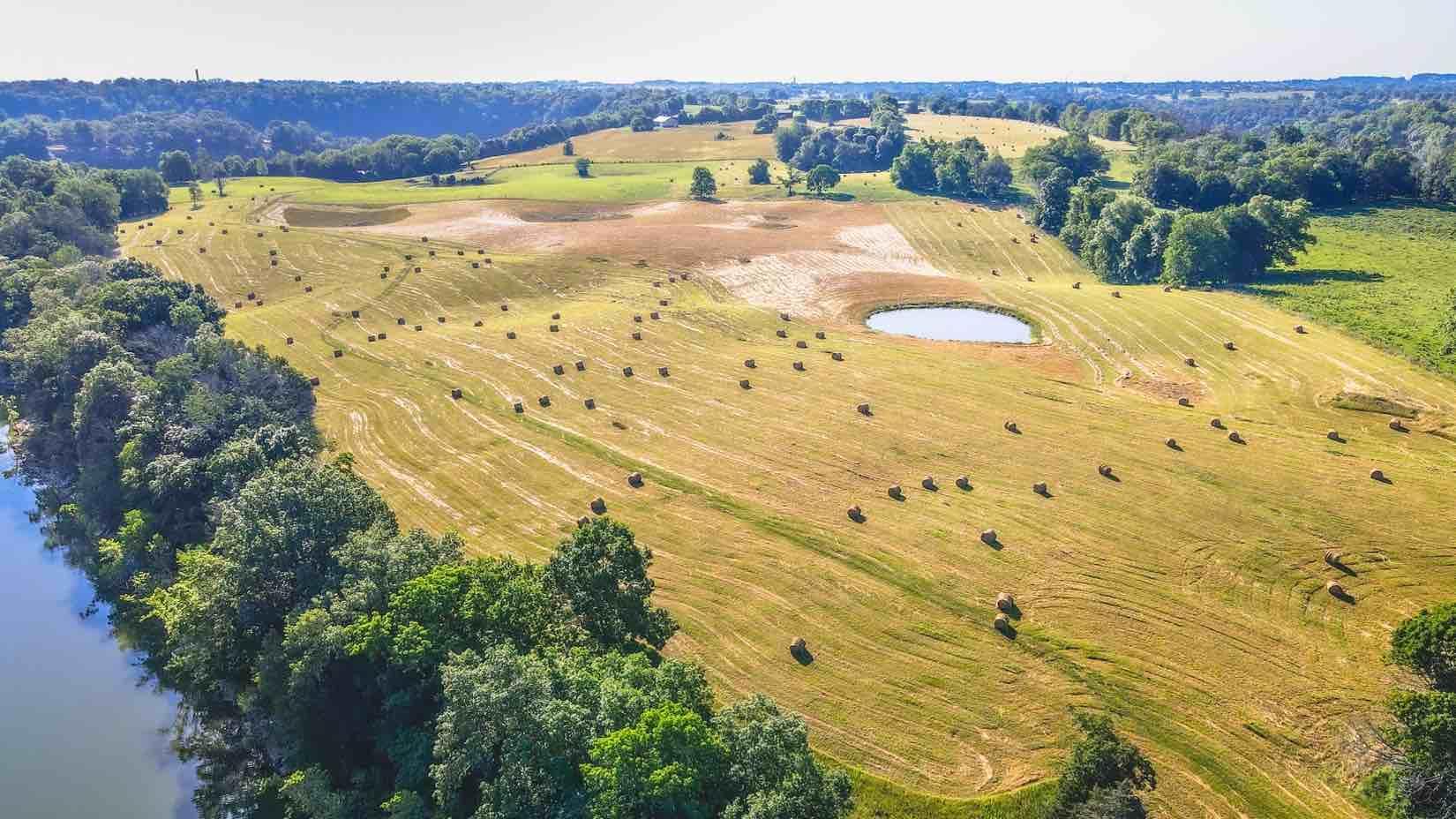 Image 3: DJI_0214