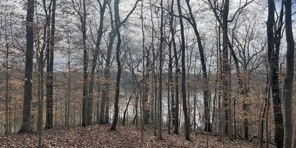 Lot 11 Fishing Creek Estates