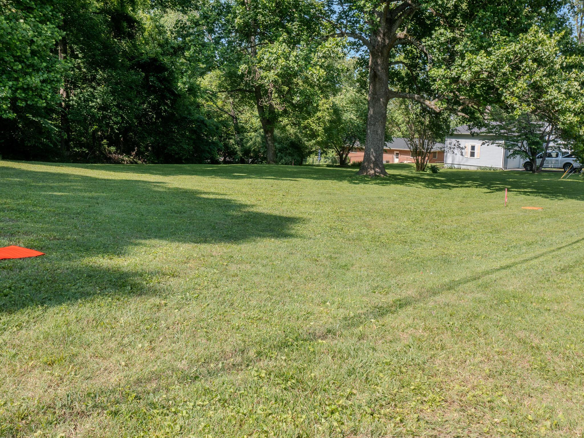Image 2: Left lot