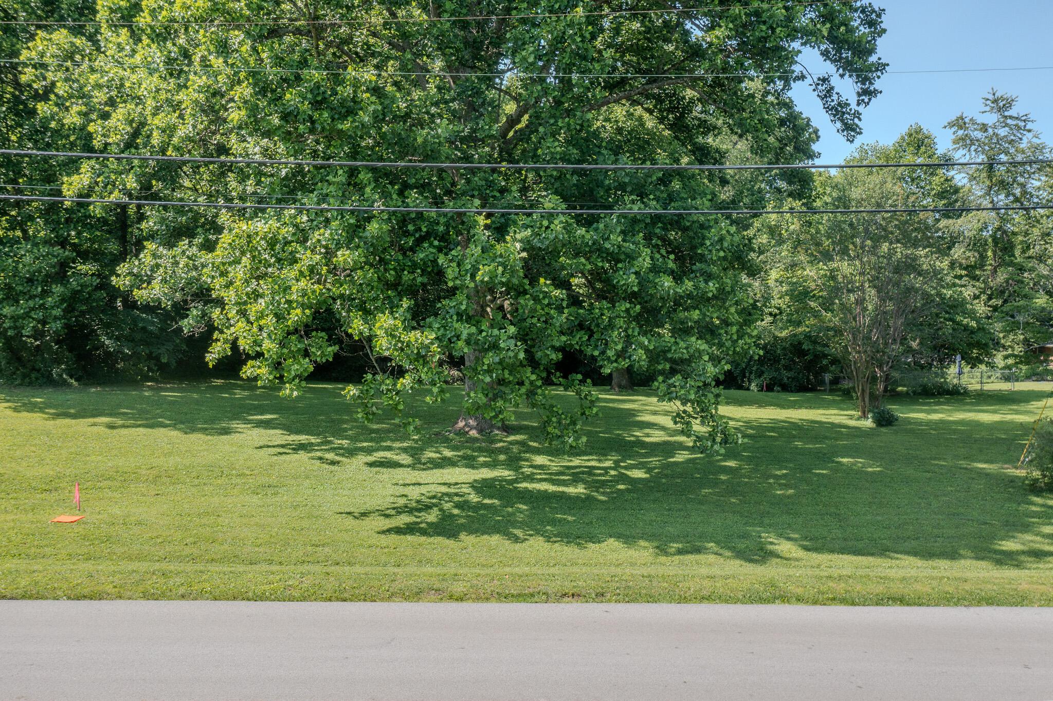 Image 4: Center Photo