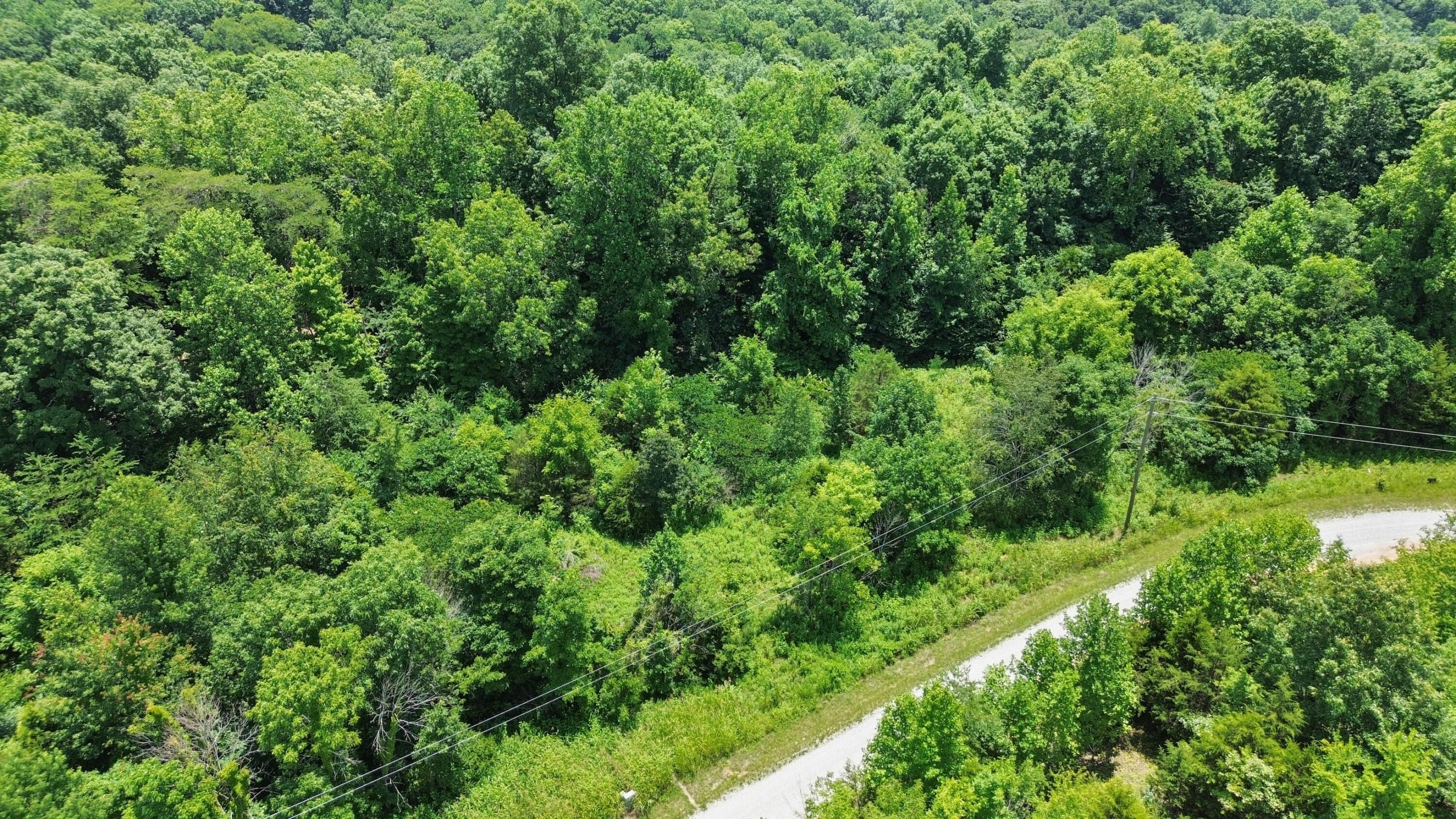 Image 2: DJI_0449