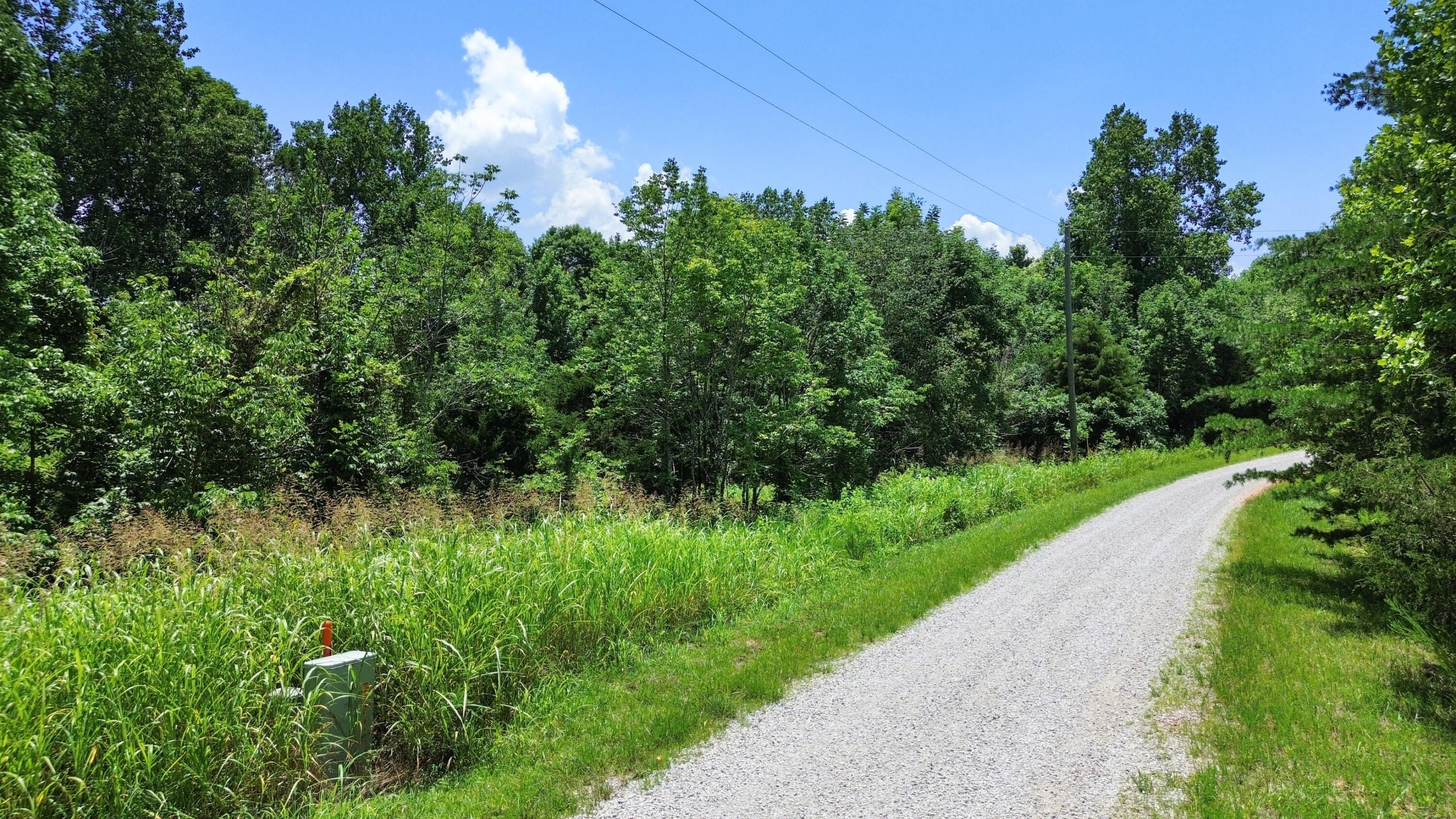 Image 3: DJI_0455