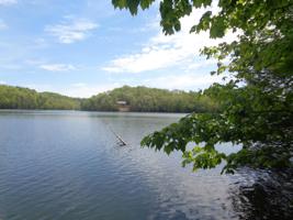 Lot 53 Fount Hubbard Road