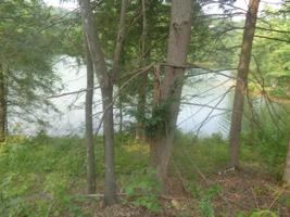 88 Mazie Lane